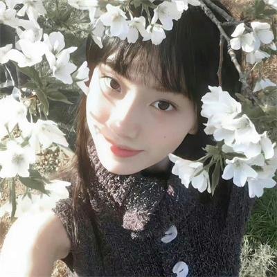 龙樱2
